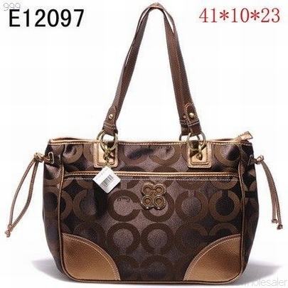 Coach handbags113